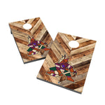 Arizona Coyotes 2x4 Cornhole Bag Toss