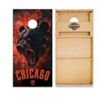 Chicago Cornhole Boards - WSOC Runway Series