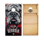 Georgia Cornhole Boards - WSOC Runway Series