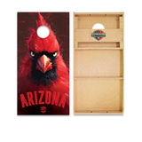 Arizona Cornhole Boards - WSOC Runway Series