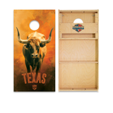 Texas Cornhole Boards - WSOC Runway Series